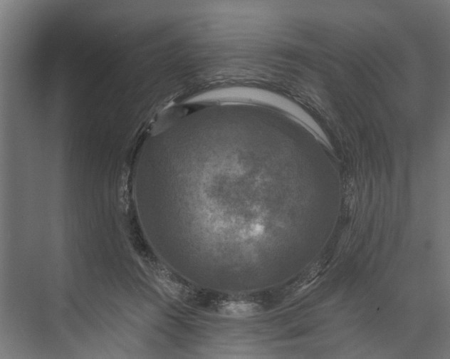 X0000073860360200608241114