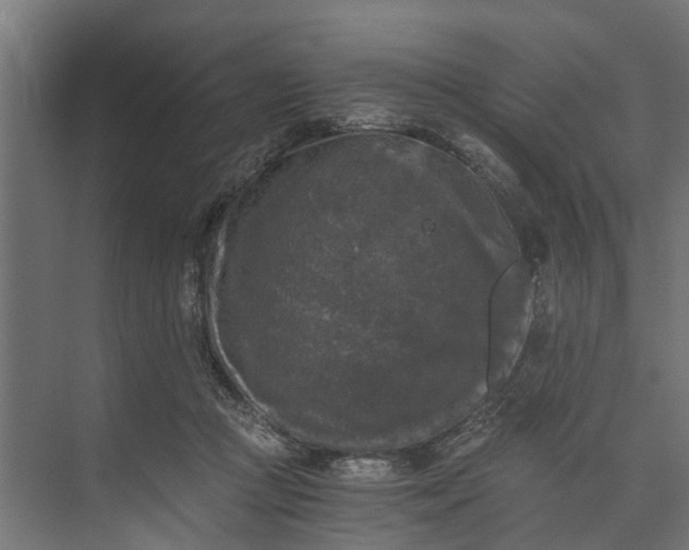 X0000073860361200608241114