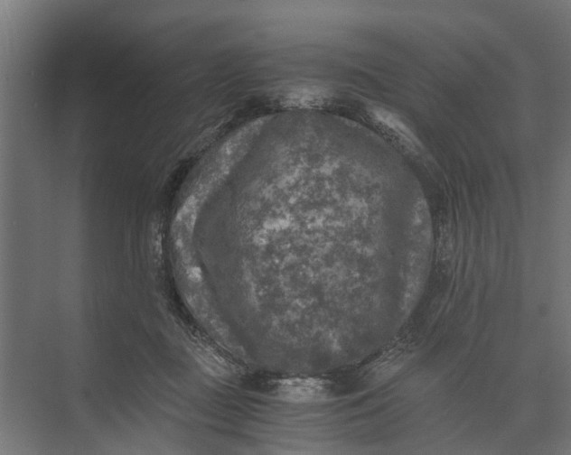 X0000073860363200608241114