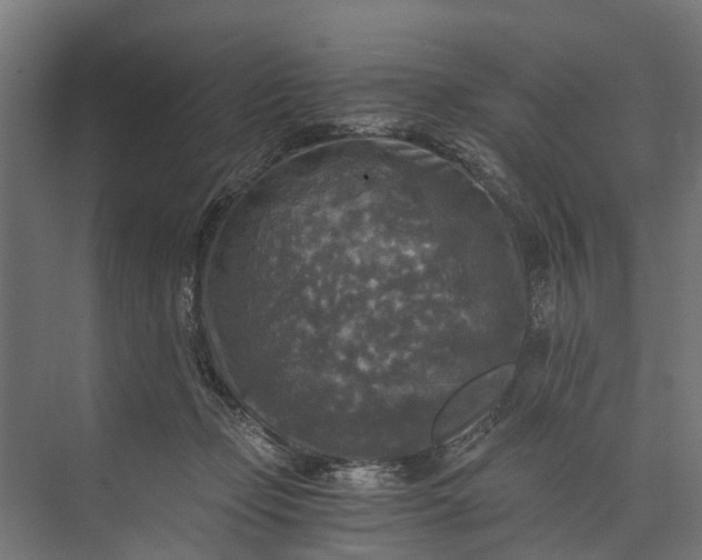 X0000073860365200608241115