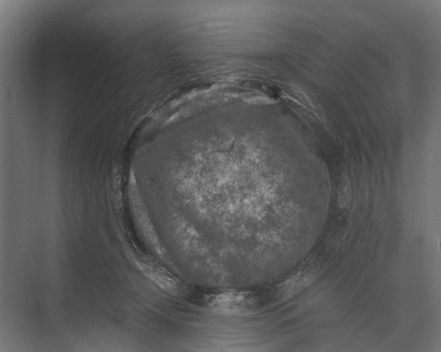 X0000073860366200608241115