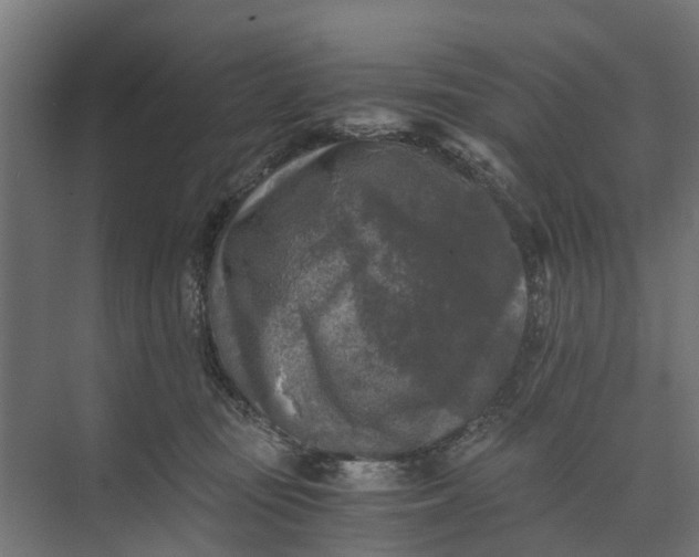 X0000073860371200608241115