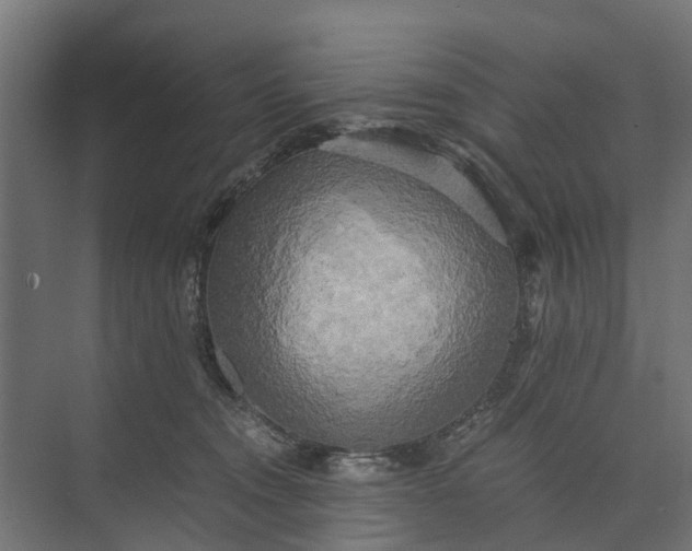 X0000073860372200608241115