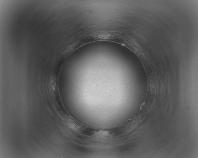 X0000073860374200608241115