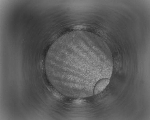 X0000073860375200608241115