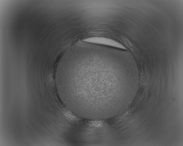 X0000073860377200608241115