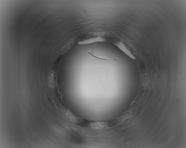 X0000073860378200608241115