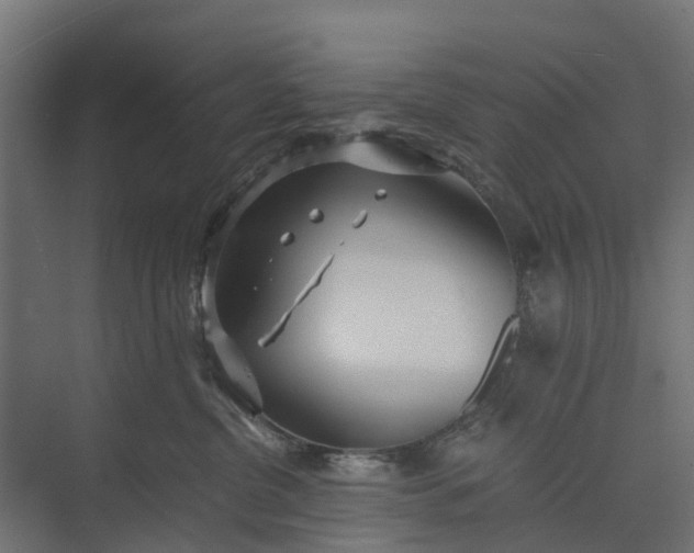 X0000073860380200608241115