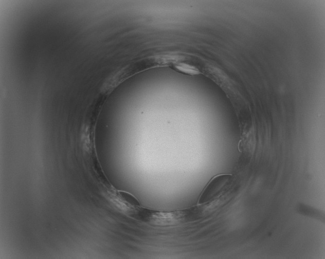 X0000073860381200608241115