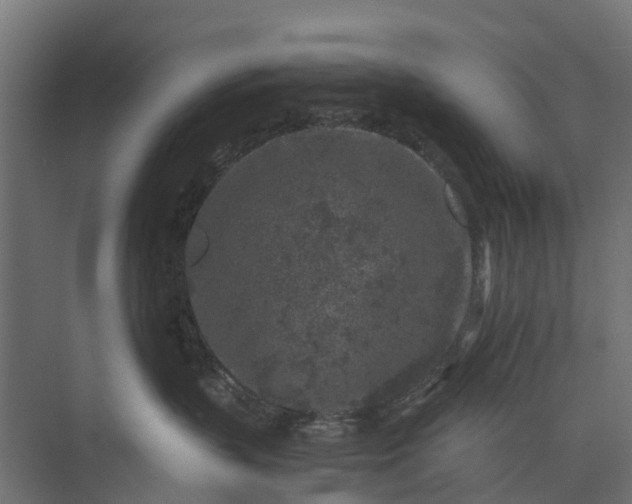 X0000073860383200608241115