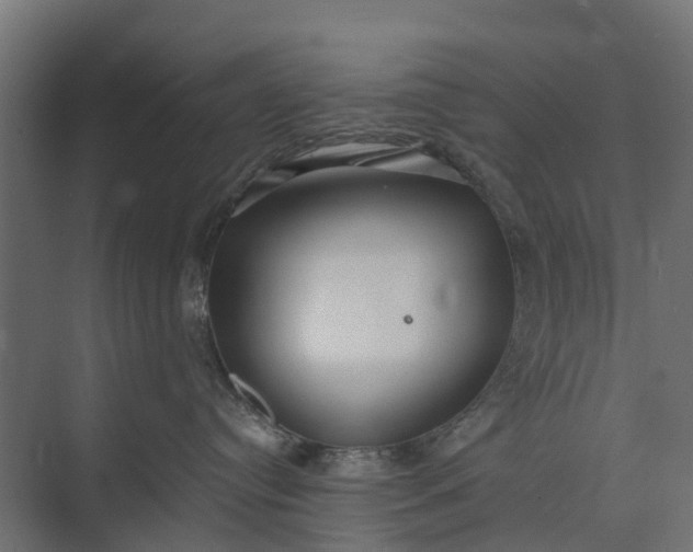 X0000073860384200608241115