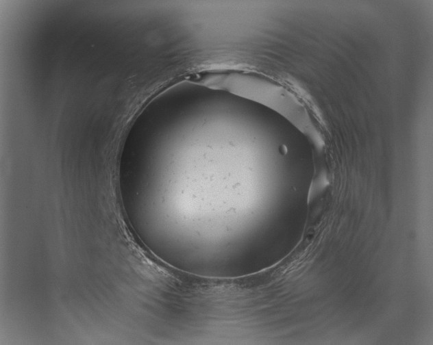 X0000073860385200608241114