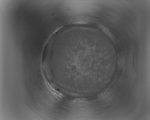 X0000073860386200608241114