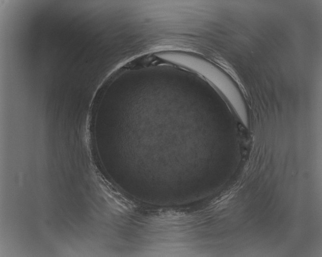 X0000073860387200608241114