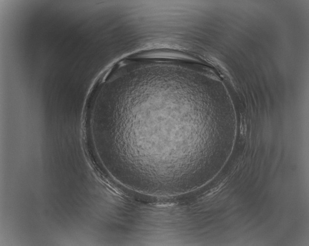 X0000073860388200608241114