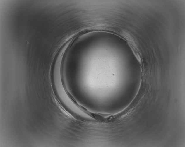 X0000073860389200608241114