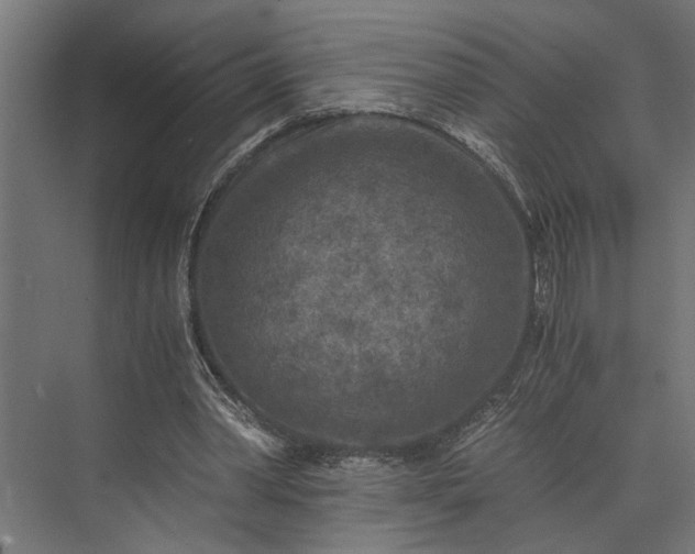 X0000073860390200608241114