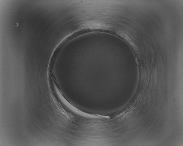 X0000073860391200608241114