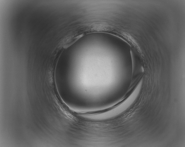 X0000073860393200608241114