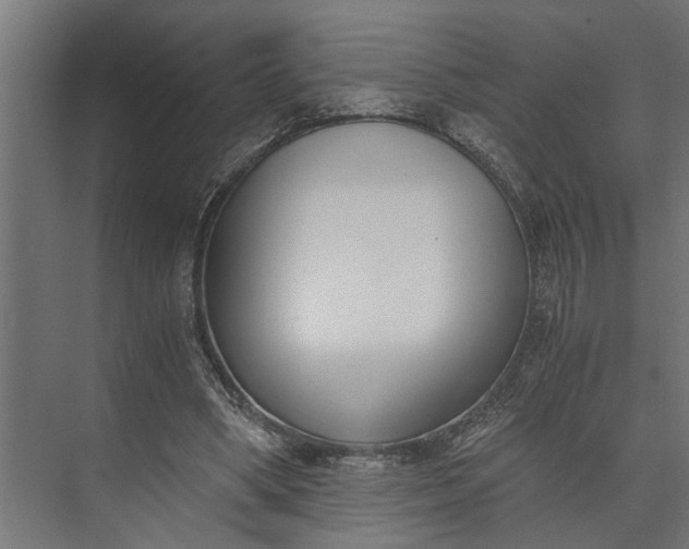 X0000073860394200608241114