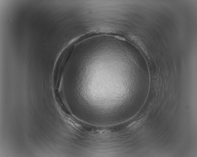 X0000073860395200608241114