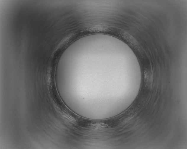 X0000073860396200608241114