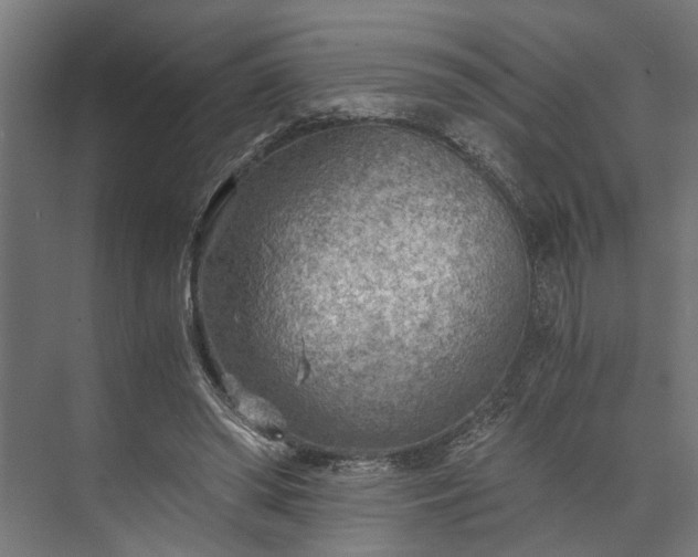 X0000073860398200608241114