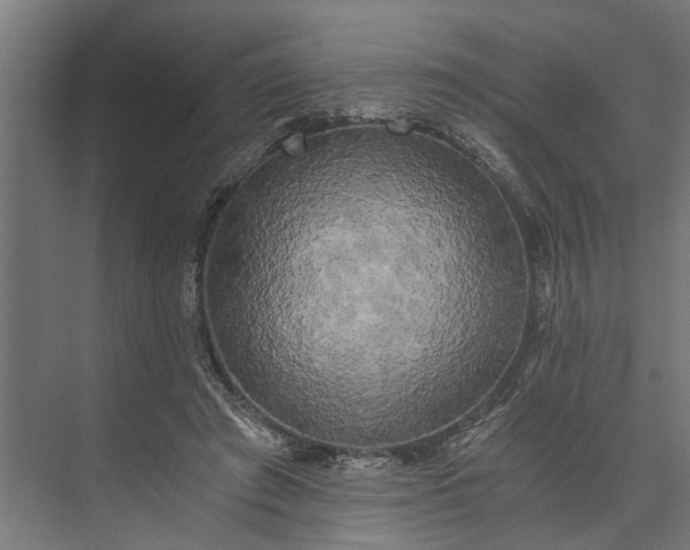 X0000073860401200608241114