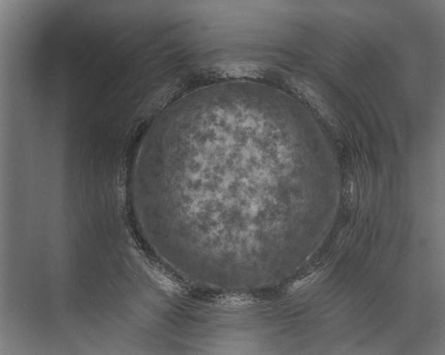 X0000073860402200608241114