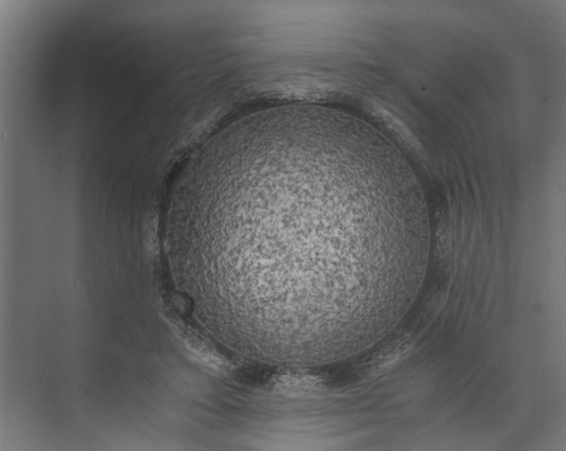 X0000073860403200608241114