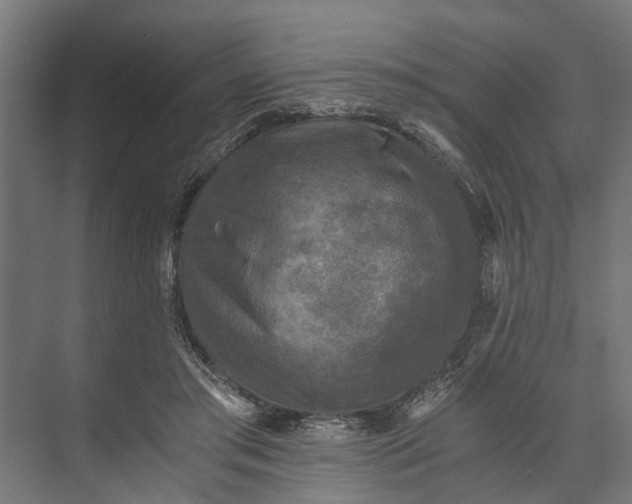 X0000073860405200608241114