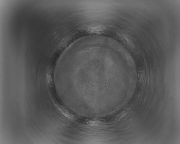 X0000073860408200608241114