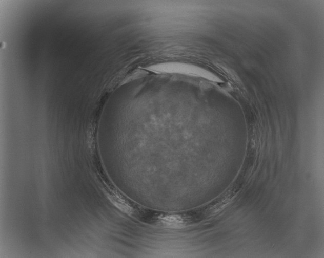 X0000073860409200608241114