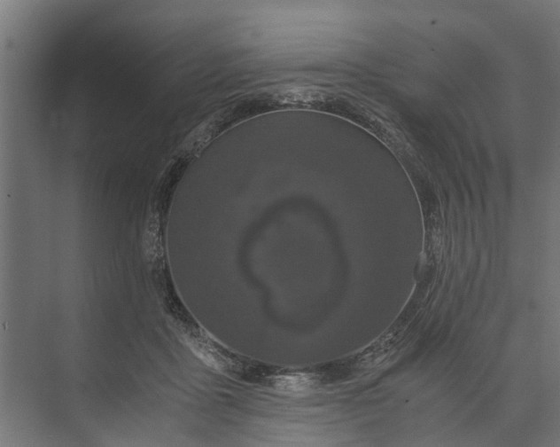 X0000073860411200608241114