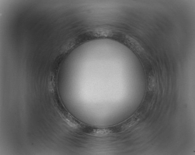 X0000073860414200608241114