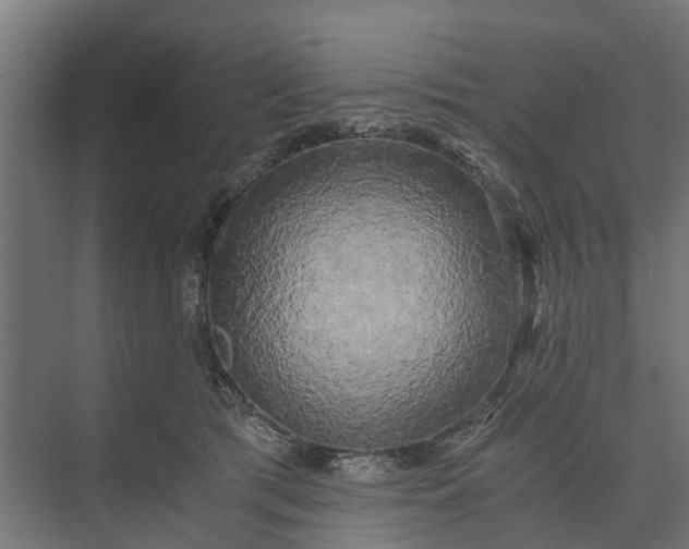 X0000073860417200608241113