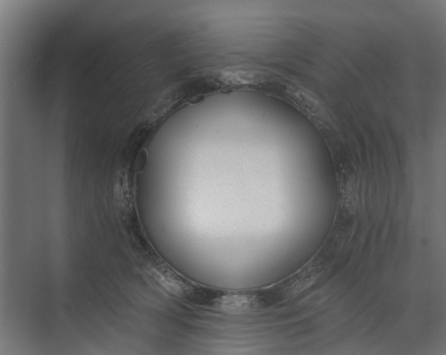 X0000073860418200608241113