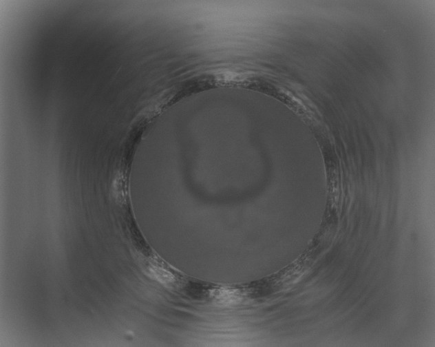 X0000073860419200608241113