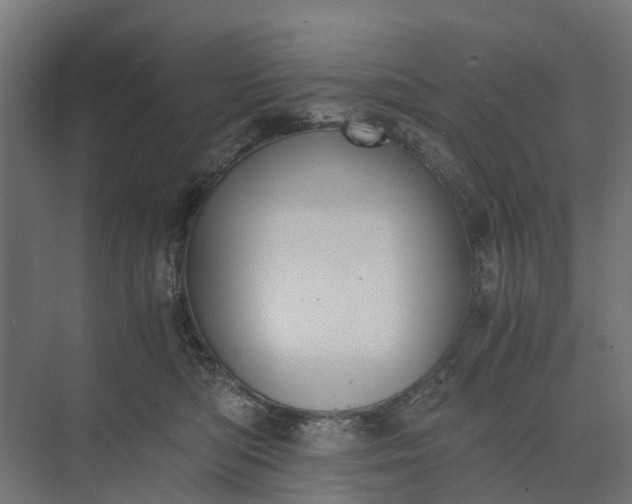 X0000073860422200608241113