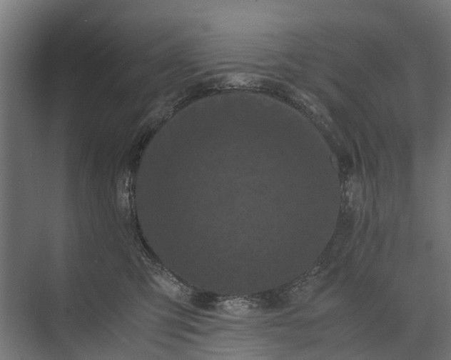 X0000073860423200608241113