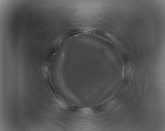 X0000073860427200608241113