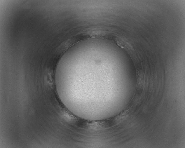 X0000073860430200608241113