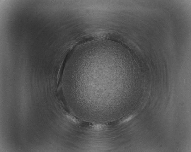 X0000073860432200608241113