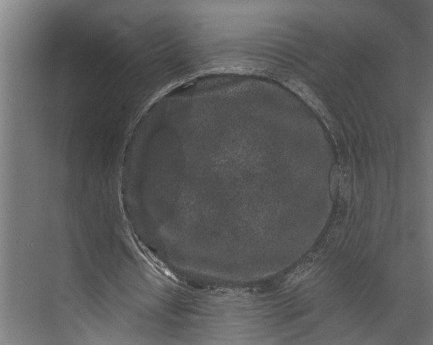 X0000073860434200608241112