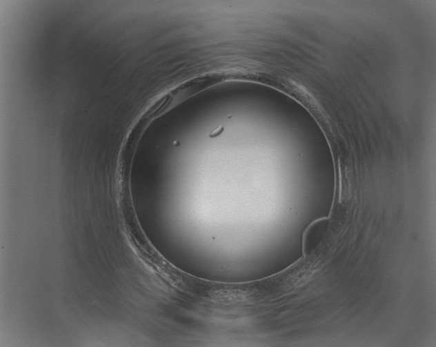 X0000073860435200608241112