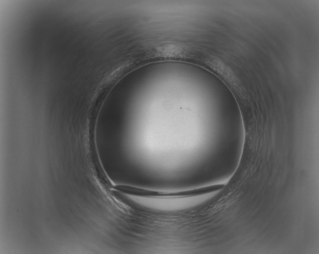 X0000073860442200608241113