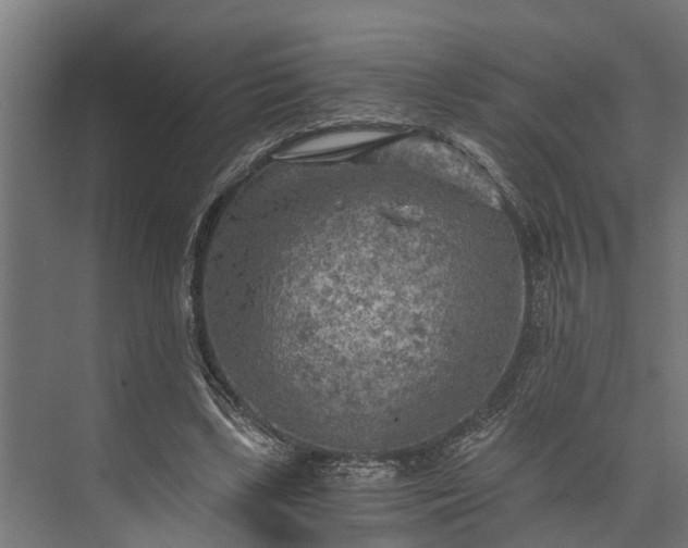 X0000073860443200608241113