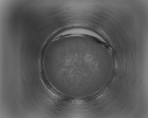 X0000073860444200608241113