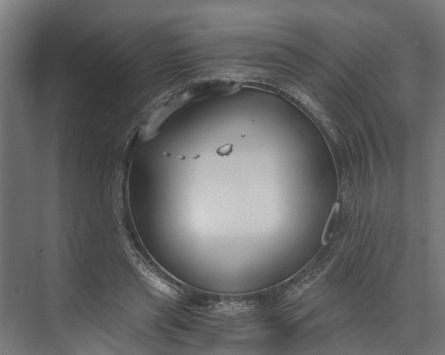 X0000073860445200608241113