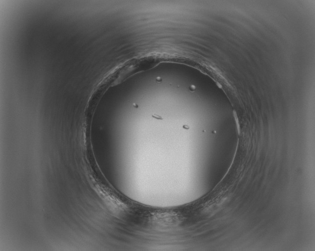 X0000073860446200608241113